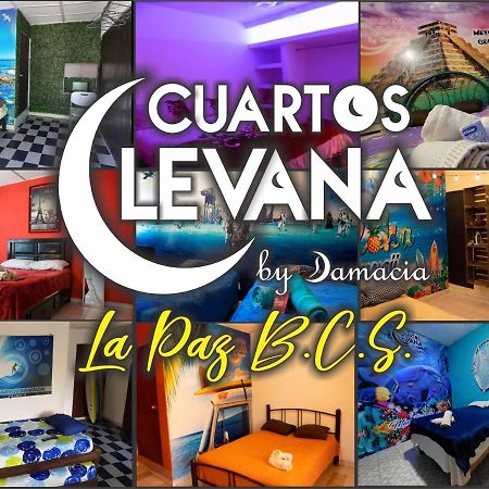 Cuartos Levana La Paz Leilighet Eksteriør bilde